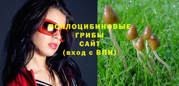 гидропоника Арсеньев