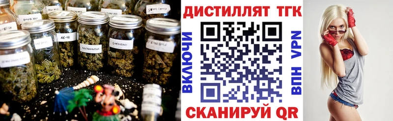 omg как зайти  Озёры  ТГК концентрат 