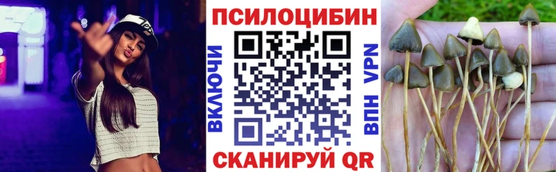 цена наркотик  Озёры  Псилоцибиновые грибы MAGIC MUSHROOMS 